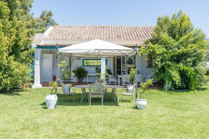 La Casita By Teresa Villa Marbella Exterior photo